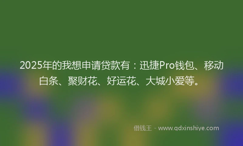 2025年的我想申请贷款有：迅捷Pro钱包、移动白条、聚财花、好运花、大城小爱等。