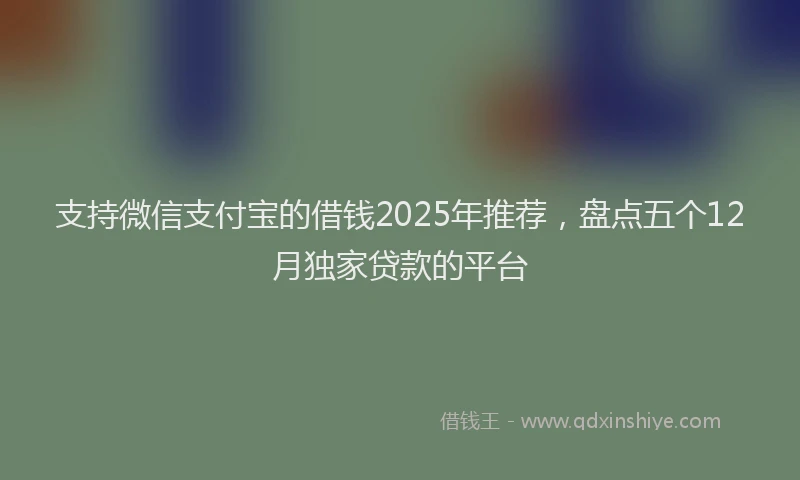 支持微信支付宝的借钱2025年推荐，盘点五个12月独家贷款的平台