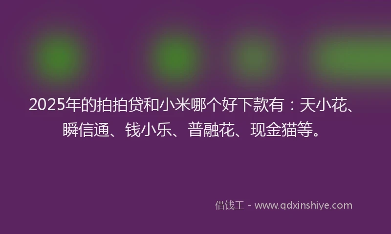 2025年的拍拍贷和小米哪个好下款有：天小花、瞬信通、钱小乐、普融花、现金猫等。