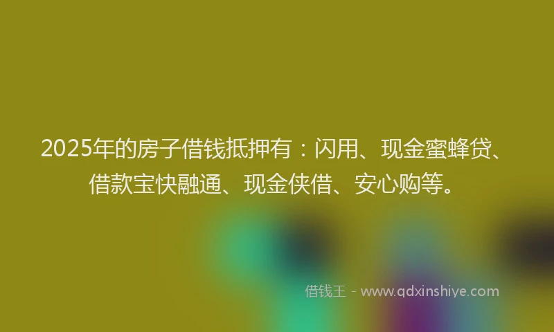 2025年的房子借钱抵押有：闪用、现金蜜蜂贷、借款宝快融通、现金侠借、安心购等。