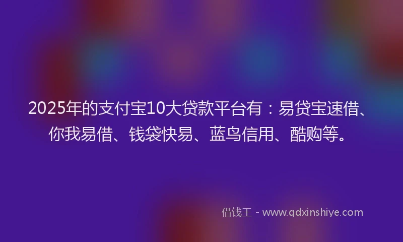 2025年的支付宝10大贷款平台有：易贷宝速借、你我易借、钱袋快易、蓝鸟信用、酷购等。