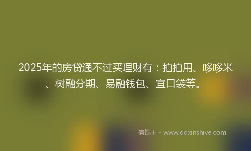 2025年的房贷通不过买理财有：拍拍用、哆哆米、树融分期、易融钱包、宜口袋等。