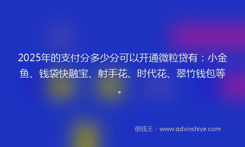 2025年的支付分多少分可以开通微粒贷有：小金鱼、钱袋快融宝、射手花、时代花、翠竹钱包等。