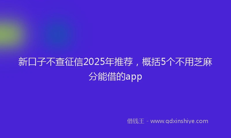 新口子不查征信2025年推荐，概括5个不用芝麻分能借的app