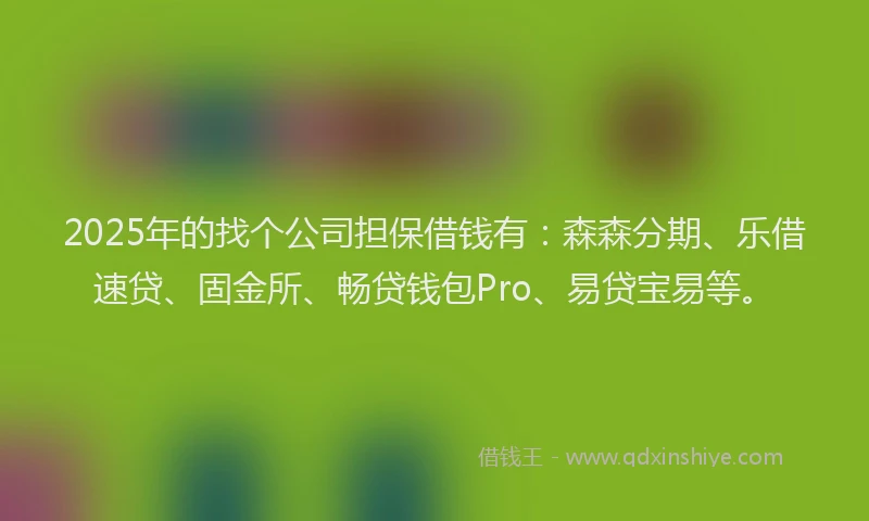 2025年的找个公司担保借钱有：森森分期、乐借速贷、固金所、畅贷钱包Pro、易贷宝易等。