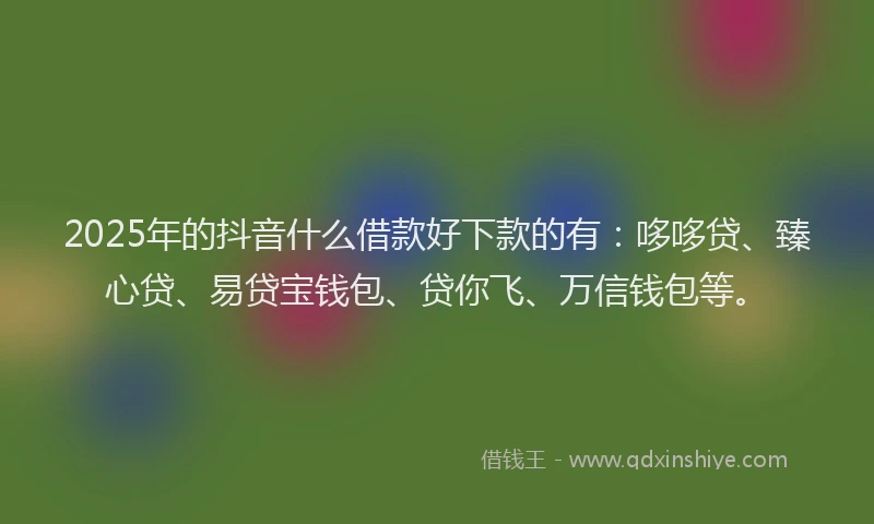 2025年的抖音什么借款好下款的有：哆哆贷、臻心贷、易贷宝钱包、贷你飞、万信钱包等。
