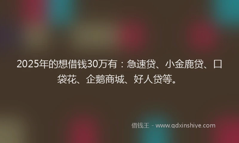 2025年的想借钱30万有：急速贷、小金鹿贷、口袋花、企鹅商城、好人贷等。