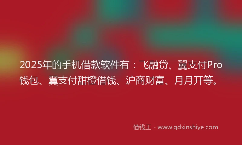2025年的手机借款软件有：飞融贷、翼支付Pro钱包、翼支付甜橙借钱、沪商财富、月月开等。