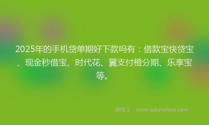 2025年的手机贷单期好下款吗有：借款宝快贷宝、现金秒借宝、时代花、翼支付橙分期、乐享宝等。