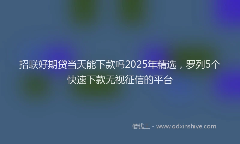 招联好期贷当天能下款吗2025年精选，罗列5个快速下款无视征信的平台