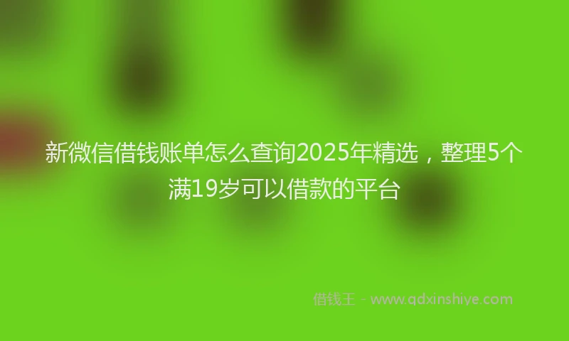 新微信借钱账单怎么查询2025年精选，整理5个满19岁可以借款的平台