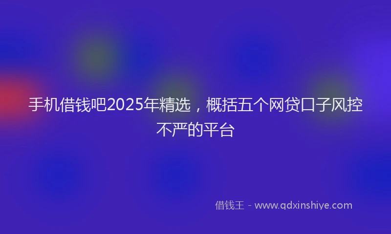 手机借钱吧2025年精选，概括五个网贷口子风控不严的平台
