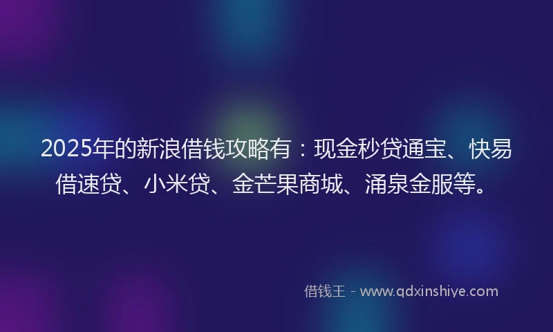 2025年的新浪借钱攻略有：现金秒贷通宝、快易借速贷、小米贷、金芒果商城、涌泉金服等。
