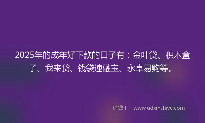 2025年的成年好下款的口子有：金叶贷、积木盒子、我来贷、钱袋速融宝、永卓易购等。