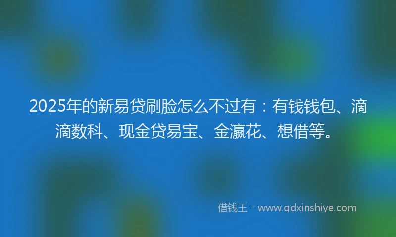 2025年的新易贷刷脸怎么不过有：有钱钱包、滴滴数科、现金贷易宝、金瀛花、想借等。