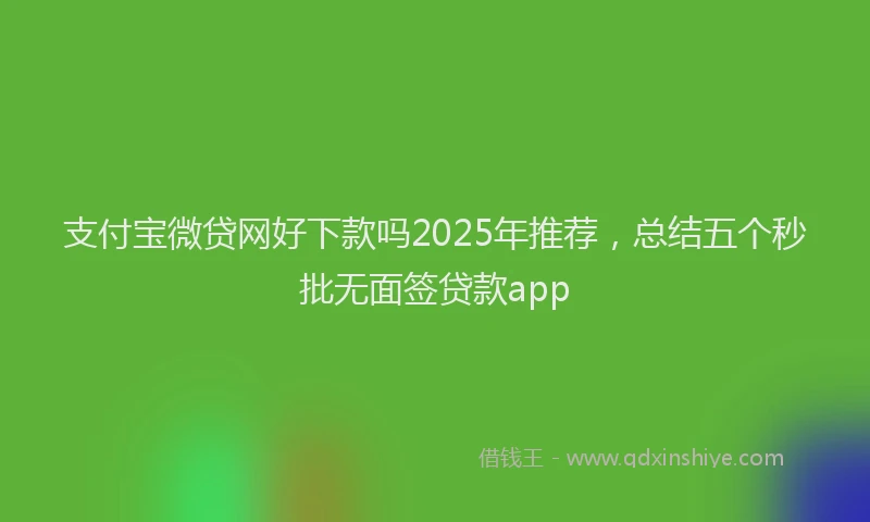 支付宝微贷网好下款吗2025年推荐，总结五个秒批无面签贷款app