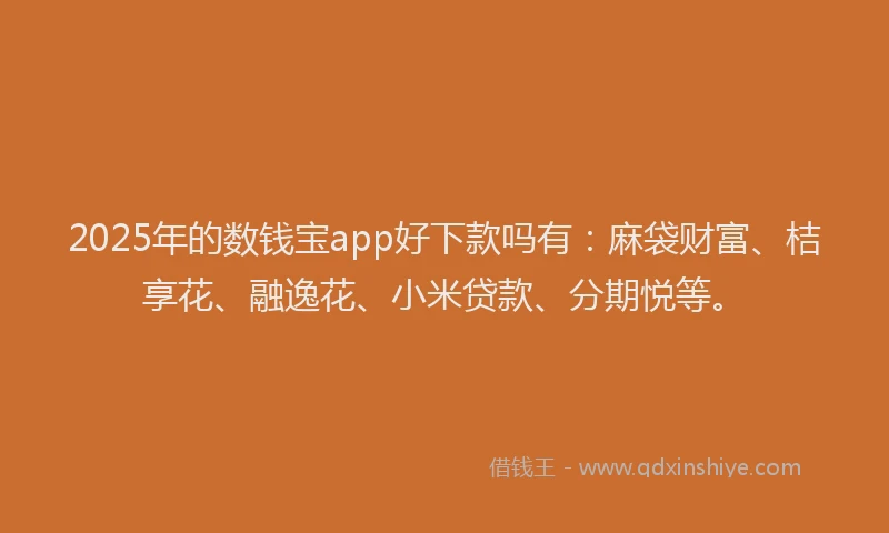 2025年的数钱宝app好下款吗有：麻袋财富、桔享花、融逸花、小米贷款、分期悦等。