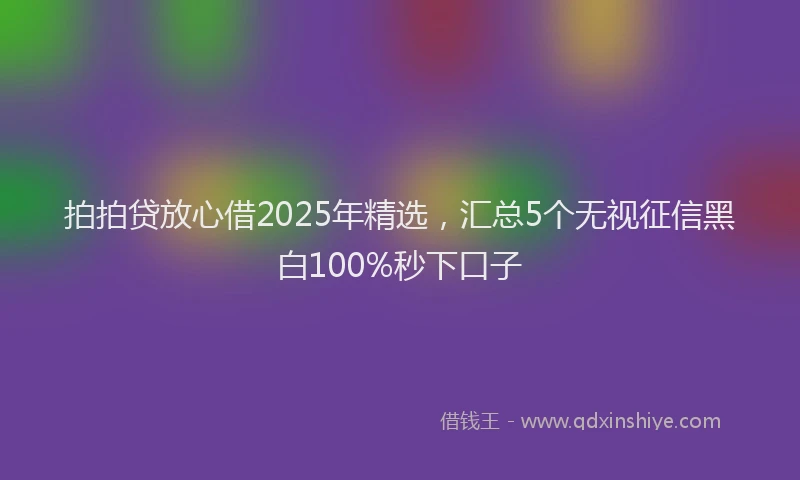 拍拍贷放心借2025年精选，汇总5个无视征信黑白100%秒下口子