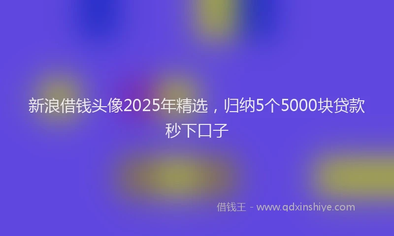 新浪借钱头像2025年精选，归纳5个5000块贷款秒下口子