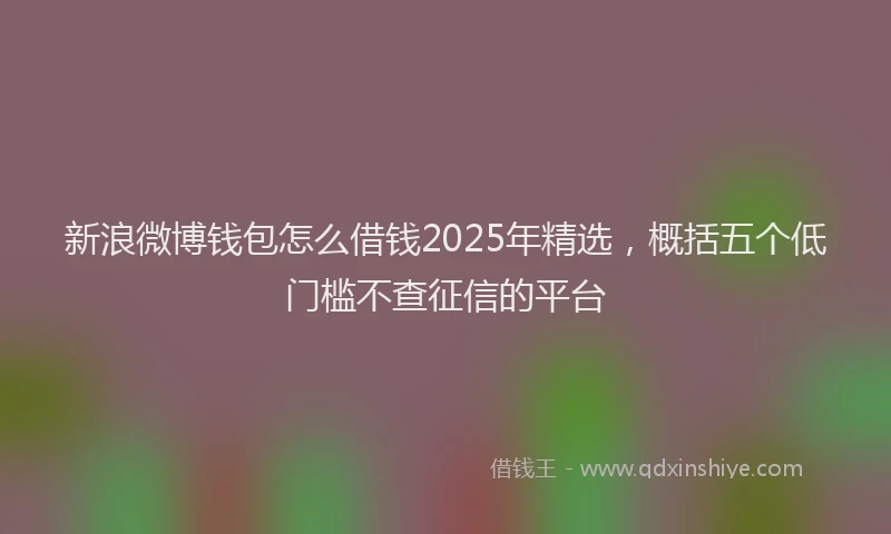 新浪微博钱包怎么借钱2025年精选，概括五个低门槛不查征信的平台