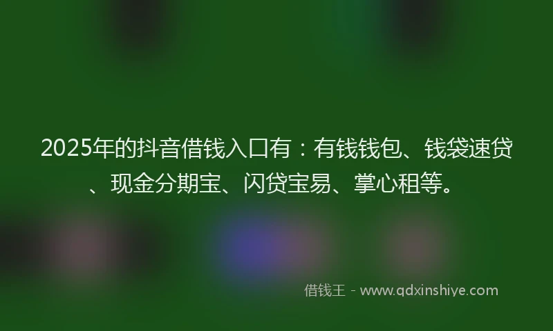 2025年的抖音借钱入口有：有钱钱包、钱袋速贷、现金分期宝、闪贷宝易、掌心租等。