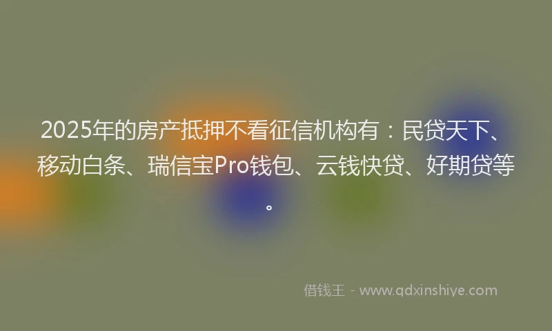 2025年的房产抵押不看征信机构有：民贷天下、移动白条、瑞信宝Pro钱包、云钱快贷、好期贷等。