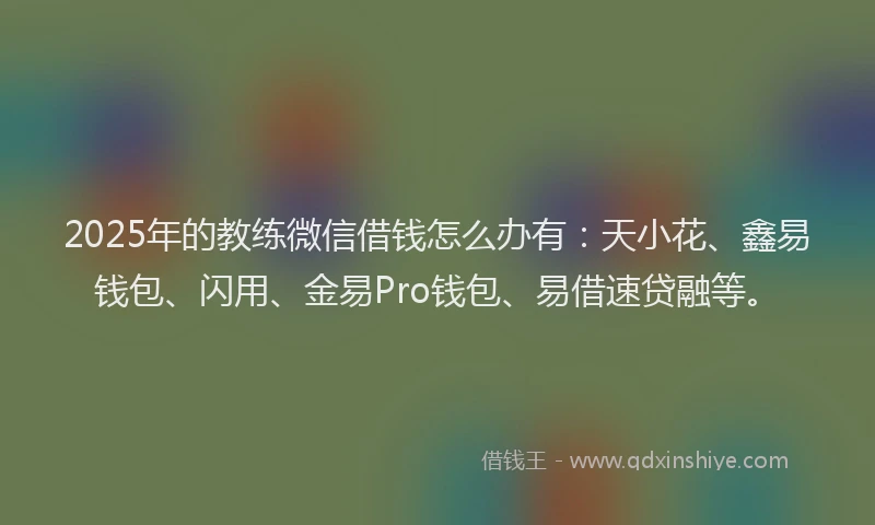 2025年的教练微信借钱怎么办有：天小花、鑫易钱包、闪用、金易Pro钱包、易借速贷融等。