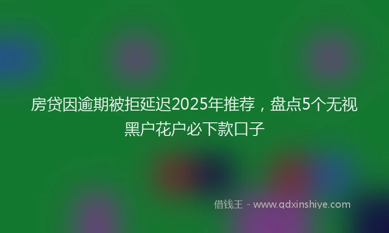 房贷因逾期被拒延迟2025年推荐，盘点5个无视黑户花户必下款口子