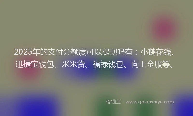 2025年的支付分额度可以提现吗有：小鹅花钱、迅捷宝钱包、米米贷、福禄钱包、向上金服等。