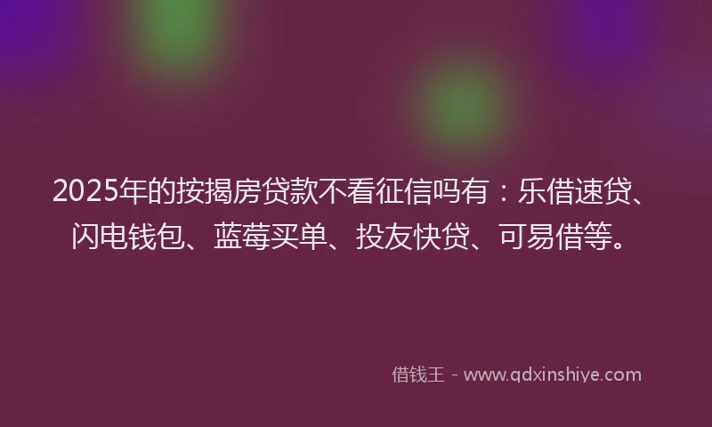 2025年的按揭房贷款不看征信吗有：乐借速贷、闪电钱包、蓝莓买单、投友快贷、可易借等。