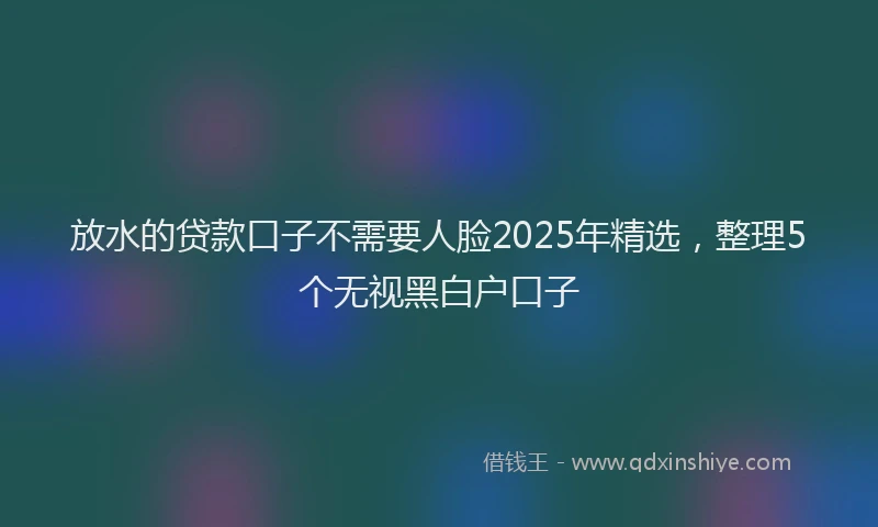 放水的贷款口子不需要人脸2025年精选，整理5个无视黑白户口子