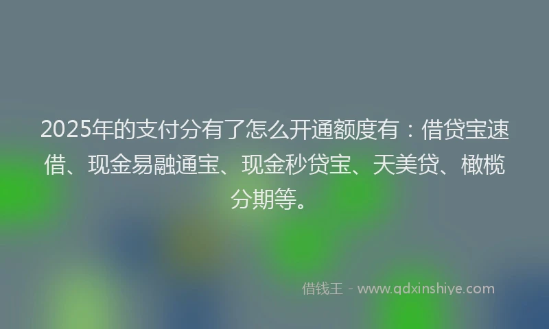 2025年的支付分有了怎么开通额度有：借贷宝速借、现金易融通宝、现金秒贷宝、天美贷、橄榄分期等。