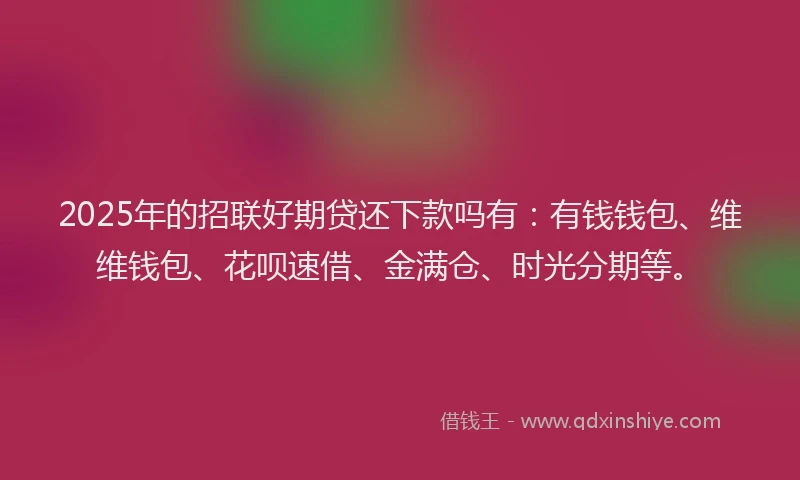 2025年的招联好期贷还下款吗有：有钱钱包、维维钱包、花呗速借、金满仓、时光分期等。