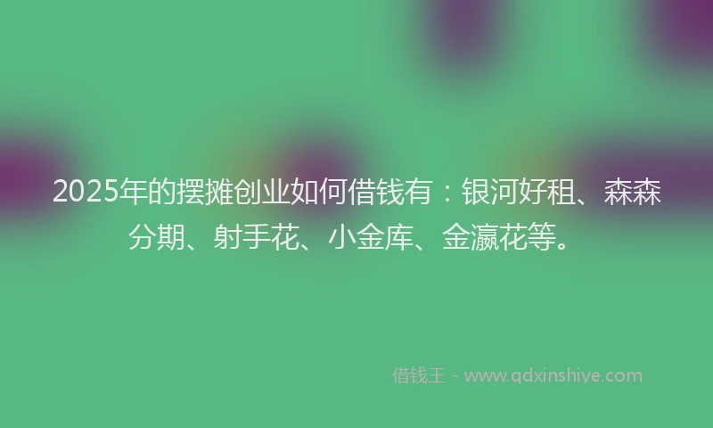 2025年的摆摊创业如何借钱有：银河好租、森森分期、射手花、小金库、金瀛花等。