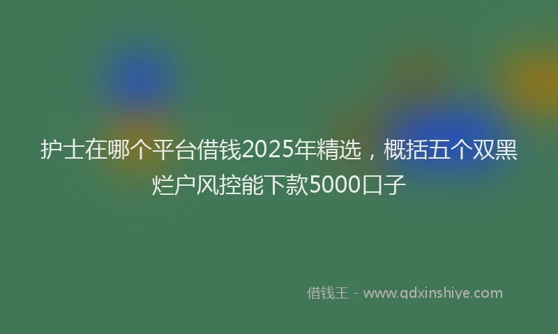 护士在哪个平台借钱2025年精选，概括五个双黑烂户风控能下款5000口子