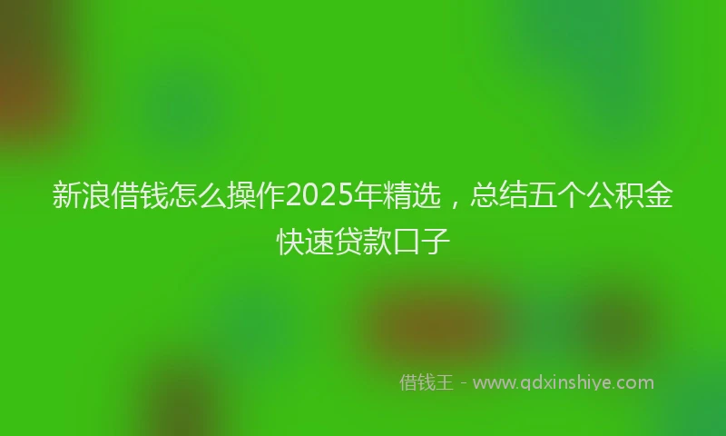 新浪借钱怎么操作2025年精选，总结五个公积金快速贷款口子