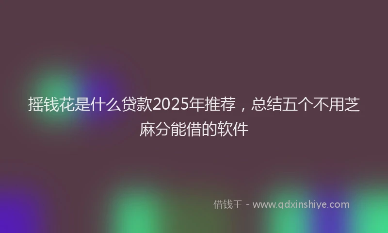 摇钱花是什么贷款2025年推荐，总结五个不用芝麻分能借的软件