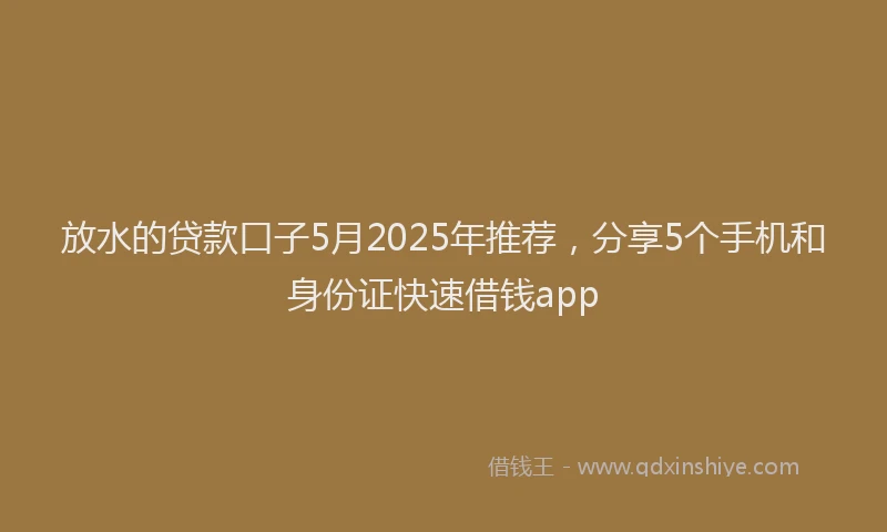 放水的贷款口子5月2025年推荐，分享5个手机和身份证快速借钱app
