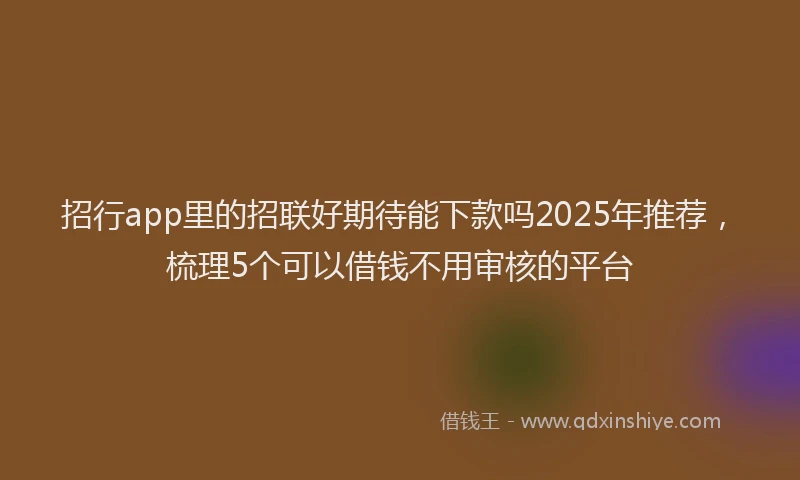 招行app里的招联好期待能下款吗2025年推荐，梳理5个可以借钱不用审核的平台