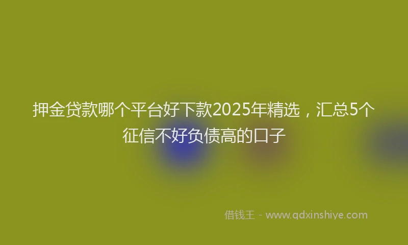 押金贷款哪个平台好下款2025年精选，汇总5个征信不好负债高的口子