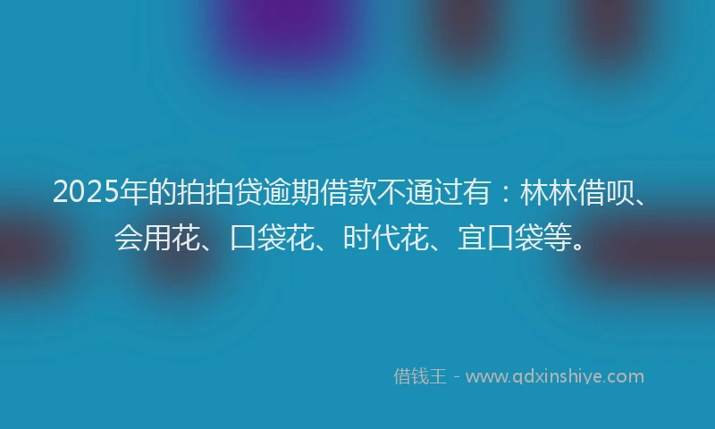 2025年的拍拍贷逾期借款不通过有：林林借呗、会用花、口袋花、时代花、宜口袋等。
