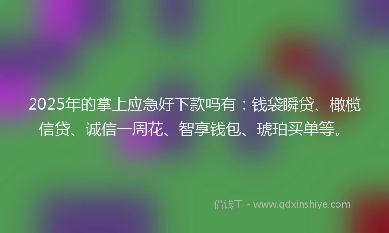 2025年的掌上应急好下款吗有：钱袋瞬贷、橄榄信贷、诚信一周花、智享钱包、琥珀买单等。