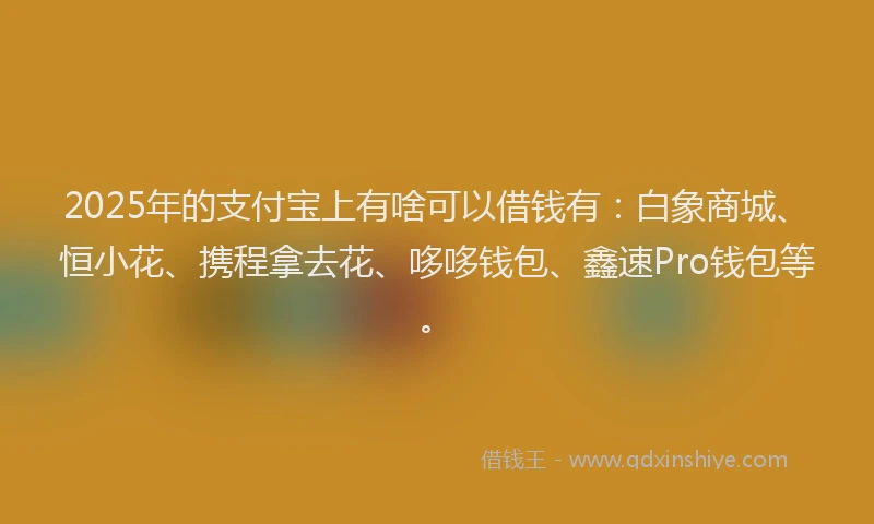 2025年的支付宝上有啥可以借钱有：白象商城、恒小花、携程拿去花、哆哆钱包、鑫速Pro钱包等。