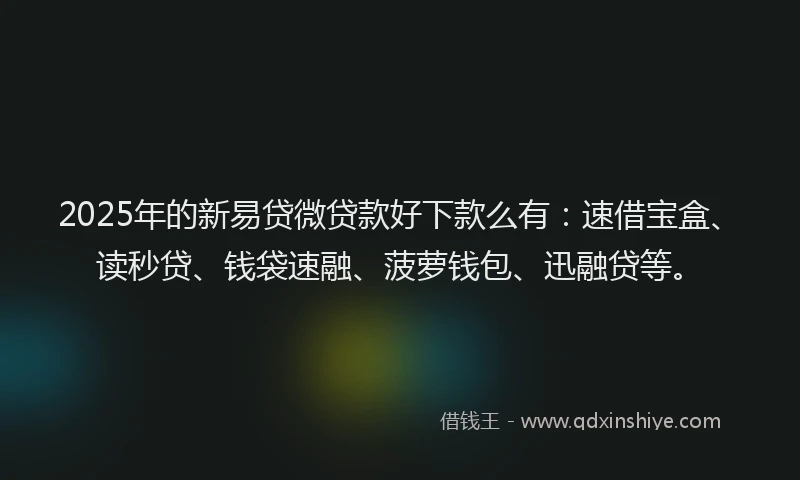 2025年的新易贷微贷款好下款么有：速借宝盒、读秒贷、钱袋速融、菠萝钱包、迅融贷等。