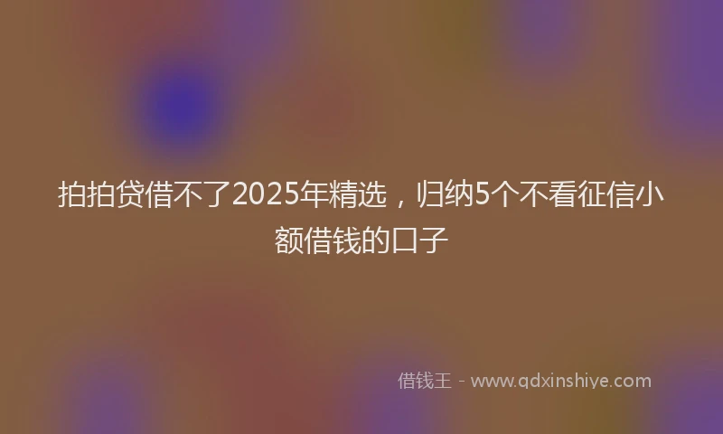 拍拍贷借不了2025年精选，归纳5个不看征信小额借钱的口子