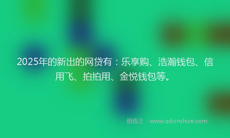 2025年的新出的网贷有：乐享购、浩瀚钱包、信用飞、拍拍用、金悦钱包等。