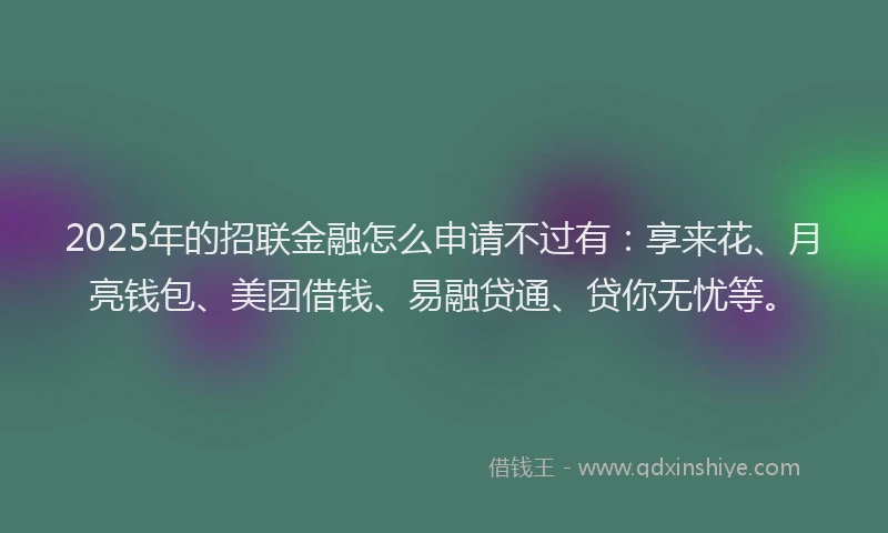 2025年的招联金融怎么申请不过有：享来花、月亮钱包、美团借钱、易融贷通、贷你无忧等。