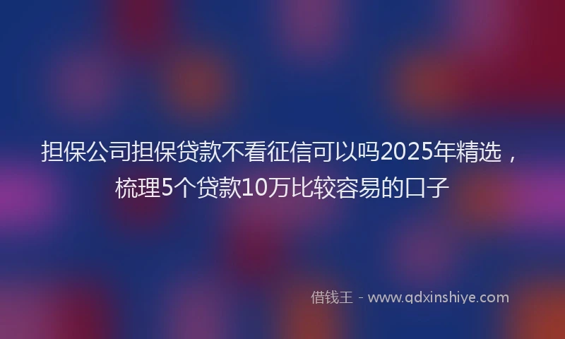 担保公司担保贷款不看征信可以吗2025年精选，梳理5个贷款10万比较容易的口子