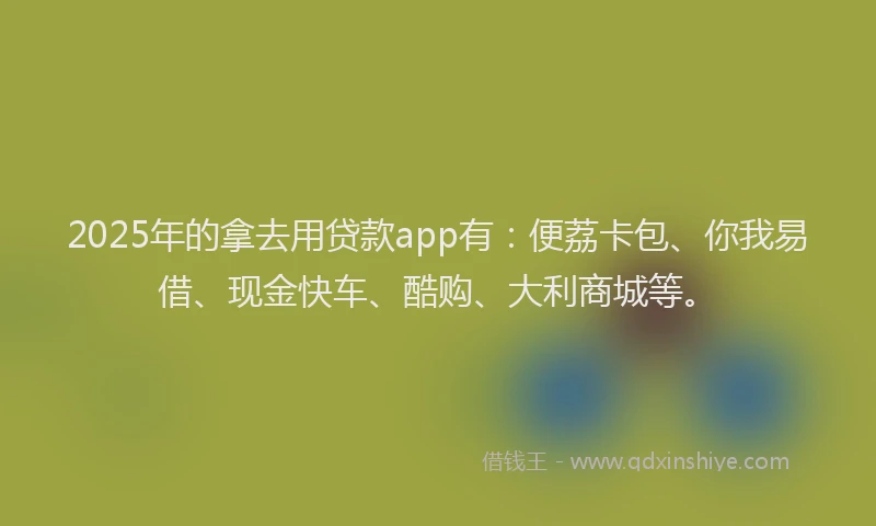 2025年的拿去用贷款app有：便荔卡包、你我易借、现金快车、酷购、大利商城等。
