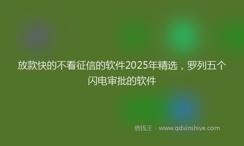 放款快的不看征信的软件2025年精选，罗列五个闪电审批的软件